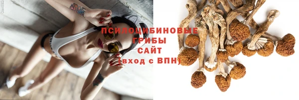 2c-b Лиски