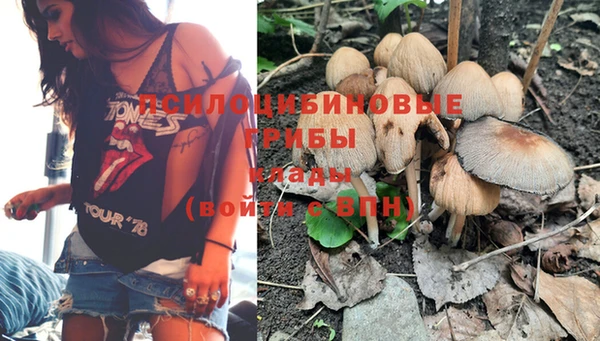 2c-b Лиски