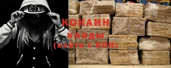 дурь Ладушкин