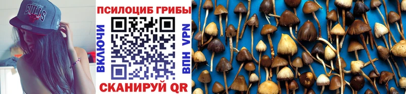 Галлюциногенные грибы Psilocybine cubensis Никольск