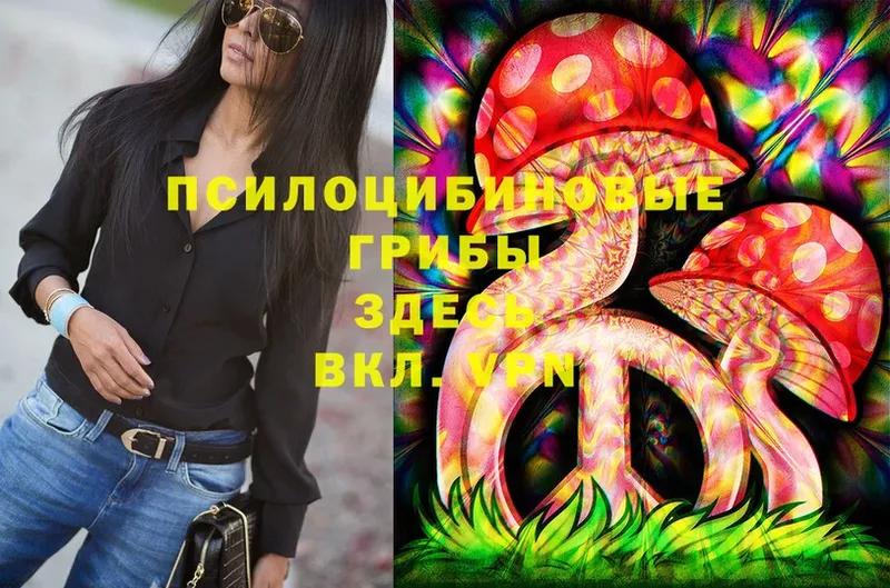 Псилоцибиновые грибы MAGIC MUSHROOMS  где купить наркоту  Никольск 